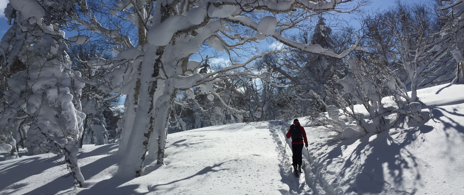Niseko backcountry at its finest