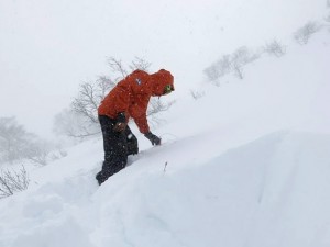Avalanche course - digging