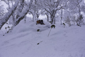 Backcountry Trip - tree skiing in Furano