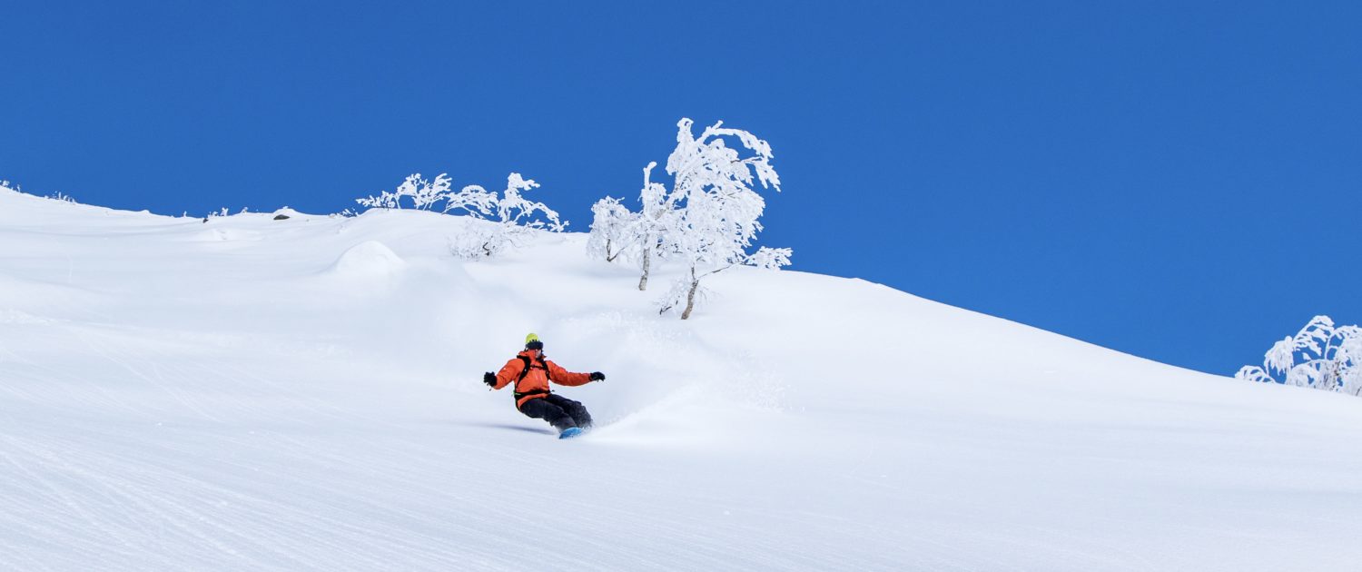 Day Tours - Powder