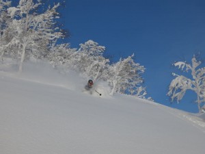 Find deep powder with our guides