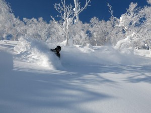 Backcountry Tours - powder turns