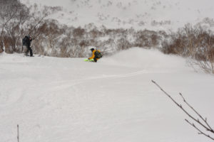 Shimamaki Powder